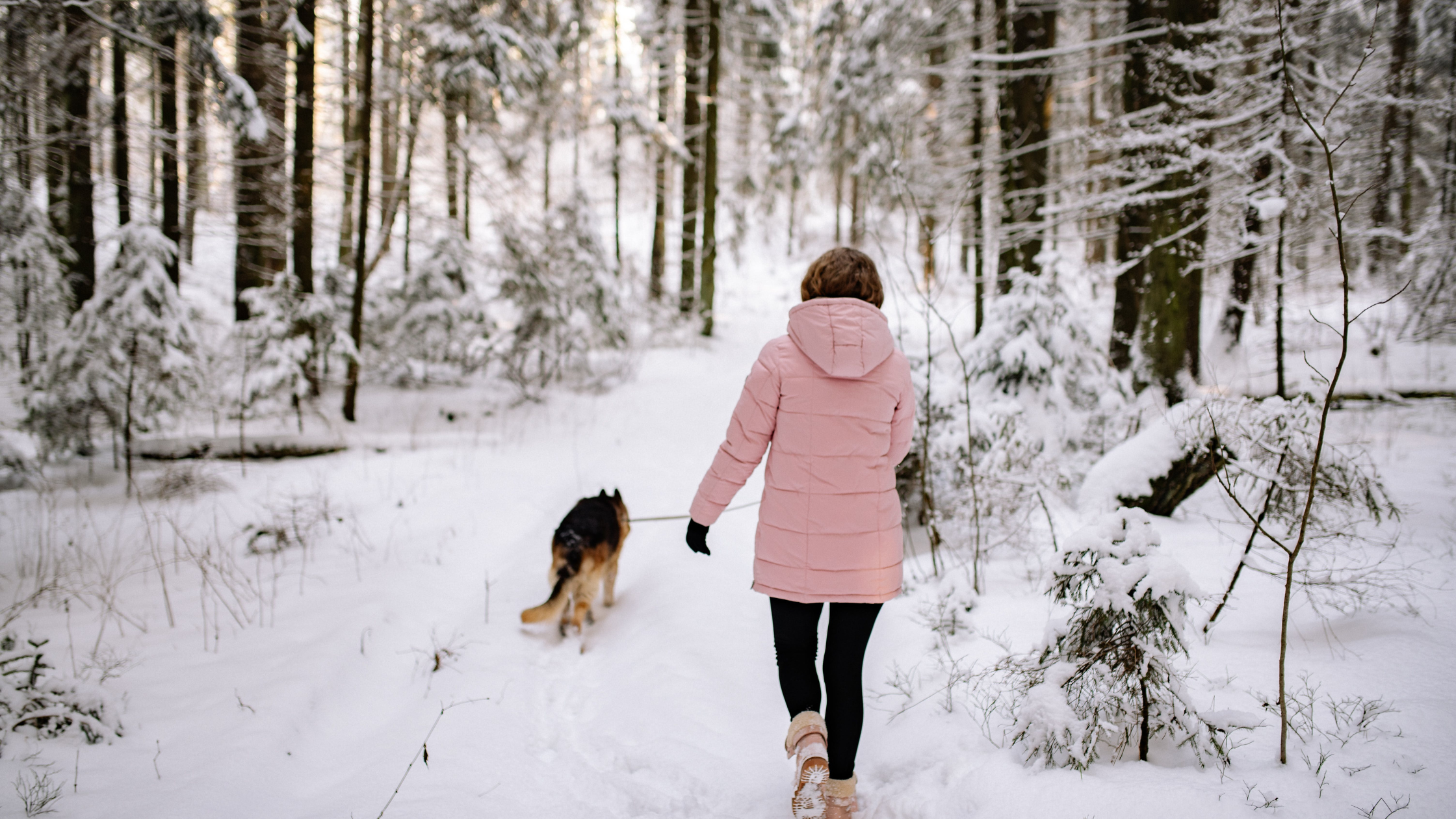 Fütontsiidid – kuidas metsa lõhn mõjutab inimest bioloogilisel tasandil